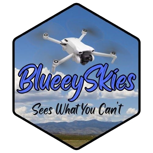 BlueeySkies logo